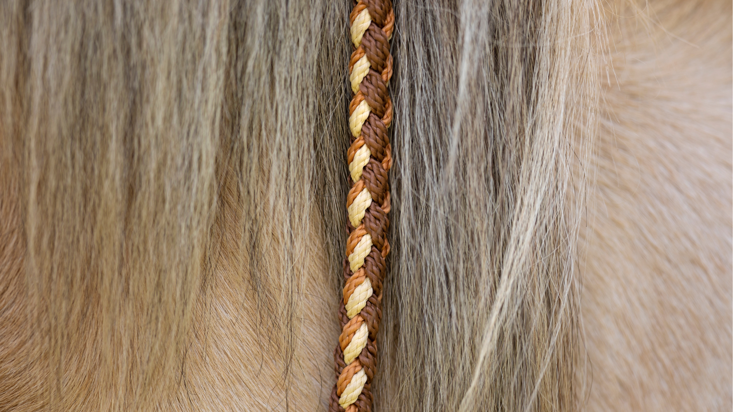 tjalda_führstrick_handmade_power_of_the_herd_earth