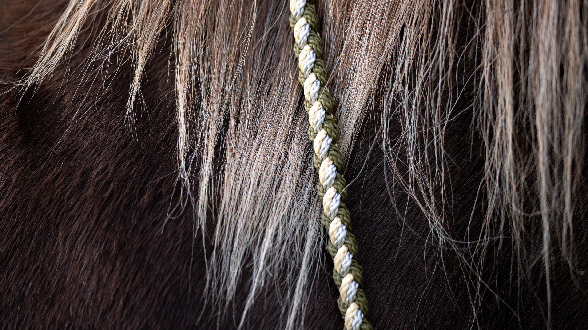 tjalda_führstrick_handmade_power_of_the_herd_icelandic_moss