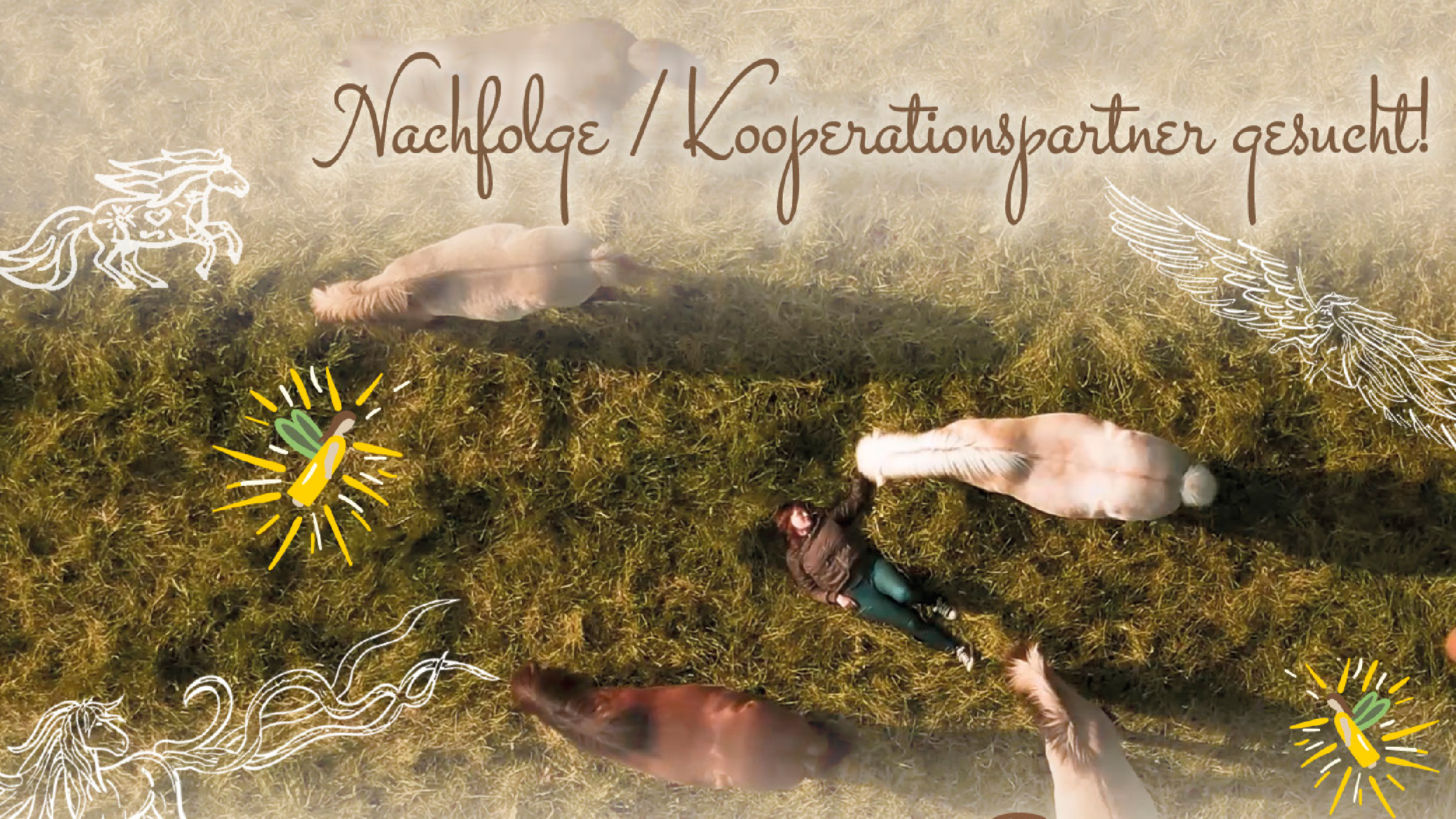 tjalda_unternehmensnachfolge